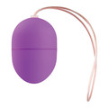 10 Speed Remote Vibrating Egg Small Size (Purple)