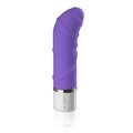 Deluxe Silikon Mini Vibrator Teeny Tiny (Purple)