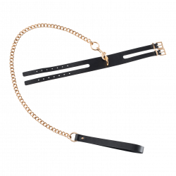 GP Premium - Collar Leash Set