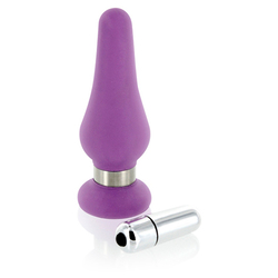 Plaisirs Secrets - Butt Plug Medium Purple