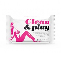 Clean & Play Reinigungstücher